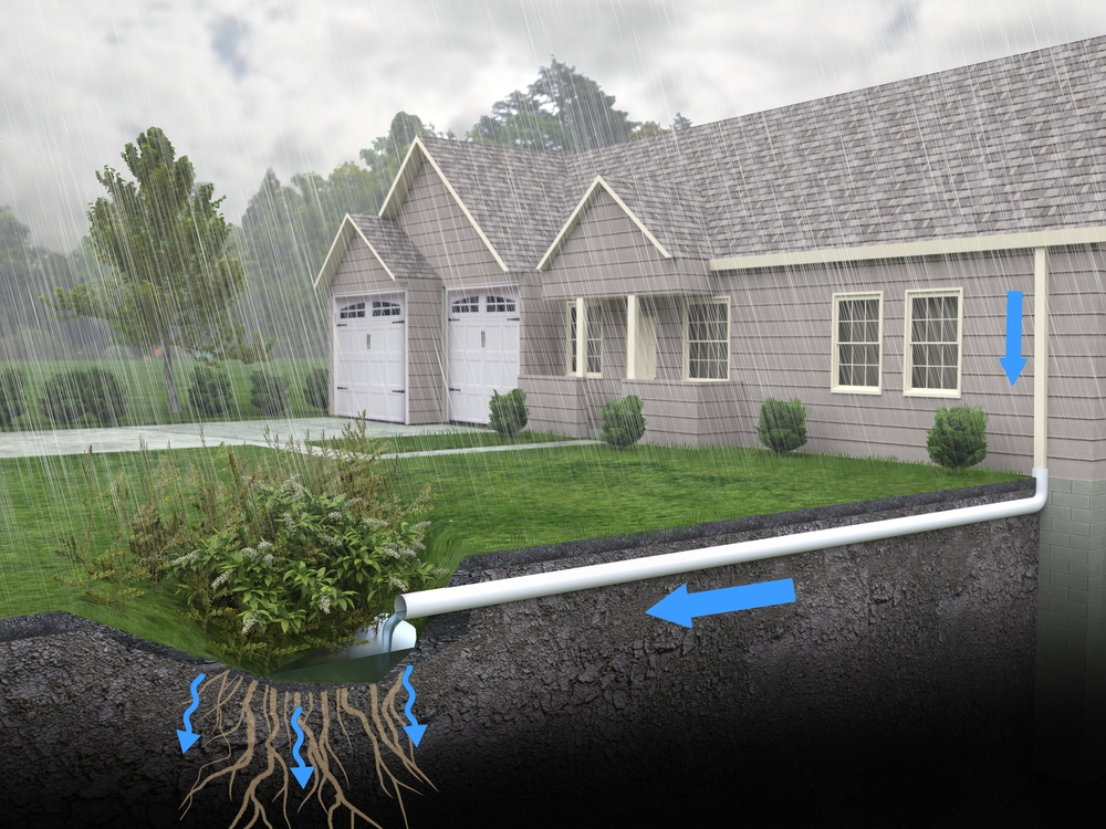 Roof water carried from a downpipe through an underground pipe into a planted rain garden, shown in section with the root zone below