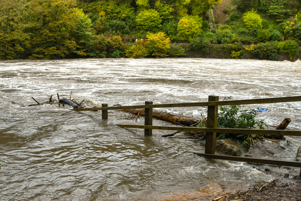 A river in spate running over its bank, with debris caught against a post-and-rail fence