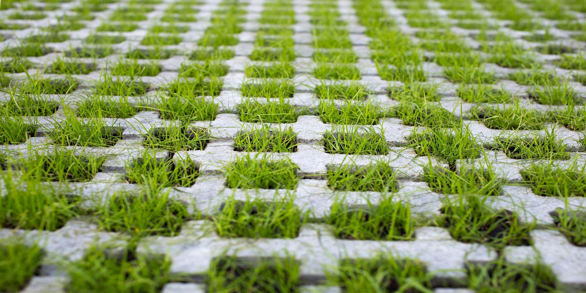 Close-up of grass-filled permeable paving blocks, a SuDS surface that lets rainfall soak through rather than run off